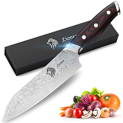 LIONEX Kuchenmesser Kochmesser & damast fleischmesser aus 67 Schichten japanischem VG10 Damaststahl, Damastmesser Profi Messer mit rutschfestem G10 Griff, Santoku Messer 29cm, Extra Scharf von NedFoss