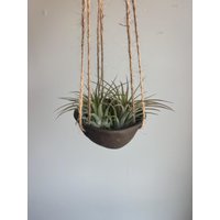 Mini Luftpflanzenhalter von NeedsPottery