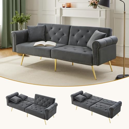 Neegaurd Schlafsofa 2-Sitzer mit Verstellbarer Rückenlehn, Samt-Sofa mit Schlaffunktion 173 x 75 x 70 cm, Schlafsofa Ausziehbar, Tagesbett Bettsofa Schlafcouch Sofabett Polstersofa (Grau) von Neegaurd