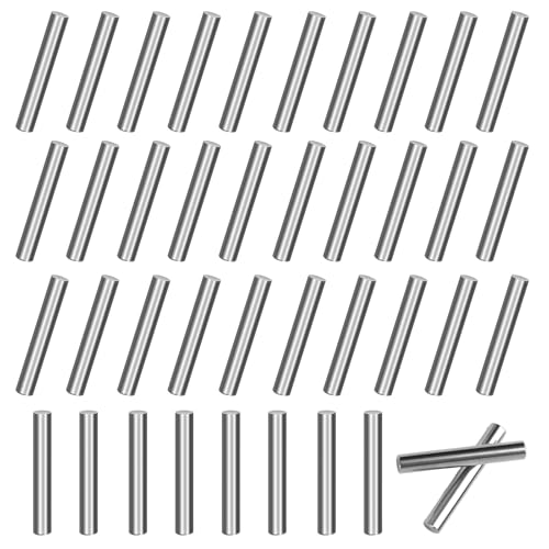 40 Stück Regalbodenträger, Bodenträger 6mmx40mm, Zylinderstifte Stiftemetall Regalstifte Regalstützen Stifte für Schränke Möbel Regal Vitrinen von Neerow