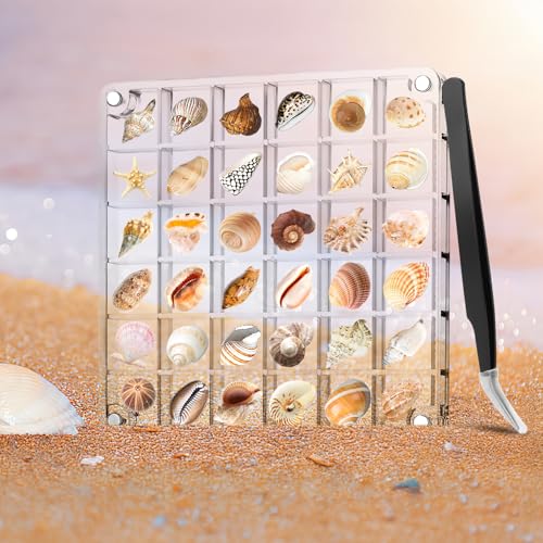 Acrylic Magnetische Seashell Display Box, 36 Grids Transparent Seashell Display Case mit Tragbarer Pinzette, Tragbar Muschel Aufbewahrungsbox für Klein Schmuck, Muscheln und Edelsteinev von Neerow