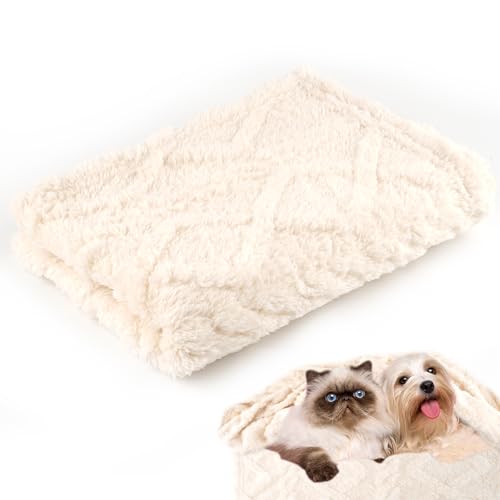 Neerow Hundedecke, 70x100 cm Katzendecke Sofa, Hunde Decke Waschbar, Fleece Haustier Decke Flauschig für Kleine und Mittelgroße Hunde, Katzen Kuscheldecke (Beige) von Neerow