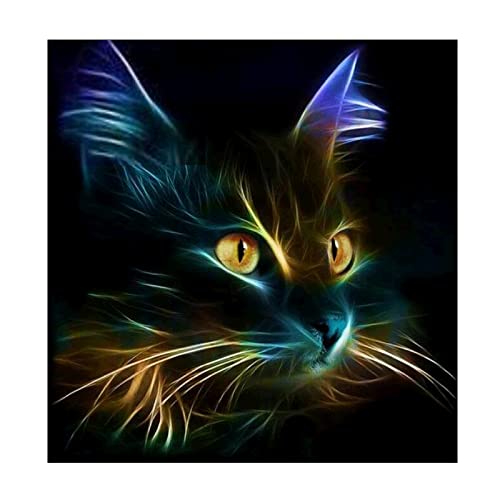 DIY 5D Diamant Malen nach Zahlen Kit, 5D Diamant Kunst Vollbohrer Schwarze Katze Strass Stickerei Kreuzstich Kits Versorgung Kunst Handwerk Leinwand Wanddekor 30x30cm von MXJSUA