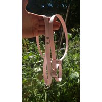 Retrieverleine, Zugstopp Hundeleine, Biothane, 1, 5 M, 15/20 Mm Retrieverleine, Zugstopp Hundeleine, Biothane, 1, 5 M, 15/20 Mm von Nelleashes