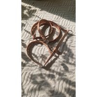 Verstellbare Retrieverleine, Zugstopp Hundeleine, Biothane, 1, 75M, 15/20 Mm Verstellbare Retrieverleine, Zugstopp Hundeleine, Biothane, 1, 75M, 15/20 Mm von Nelleashes