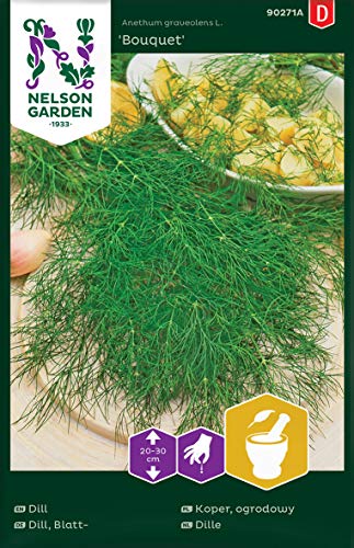 Dill Samen - Nelson Garden Küchenkräuter - Blattdill Kräutersamen (3850 Stück) (Dill, Einzelpackung) von Nelson Garden 1933