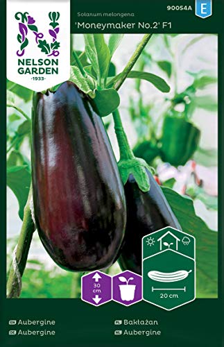 Auberginen Samen Moneymaker No.2 F1 - Nelson Garden Saatgut für Gemüse - Samen für Auberginen (8 Stück) (Aubergine, Einzelpackung) von Nelson Garden 1933