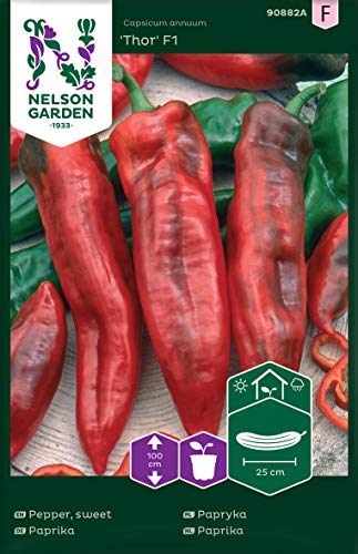 Paprika Samen Thor F1 - Nelson Garden Saatgut für Gemüsegarten - Pflanzensamen Paprika rot (4 Stück) (Paprika, Thor F1, Einzelpackung) von Nelson Garden 1933