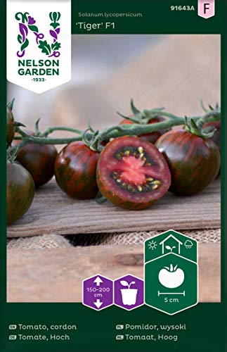 Tomatensamen Tiger F1 - Nelson Garden Samen für Gemüsegarten - Tomaten Saatgut (4 Stück) (Einzelpackung) von Nelson Garden 1933