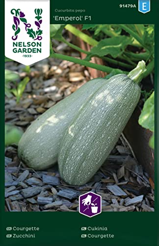Zucchini Samen 'Emperol' F1 von Nelson Garden - Saatgut für leuchtend grünes Samen Gemüse - hochwertige Bio Pflanzensamen (5 Stück) von Nelson Garden 1933
