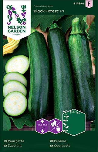 Zucchini Samen für Gemüsegarten - Nelson Garden Saatgut - Zucchini Black Forest F1 (5 Stück) (Zucchini, Black Forest F1, Einzelpackung) von Nelson Garden 1933