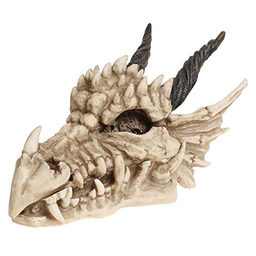 Nemesis Now AL50057 Box mit Drachenschädel, 15 cm, elfenbeinfarben von Nemesis Now