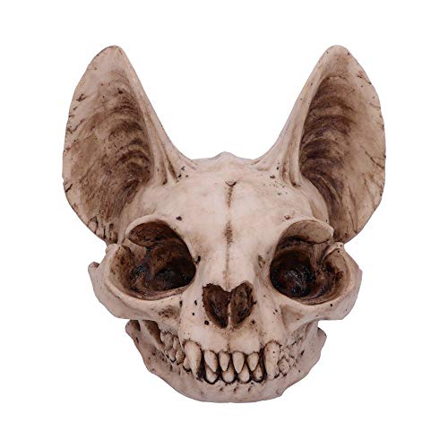 Nemesis Now Bastet's Secret Katze Schädel Figur Ornament, natürliche Knochenfarbe, One Size von Nemesis Now