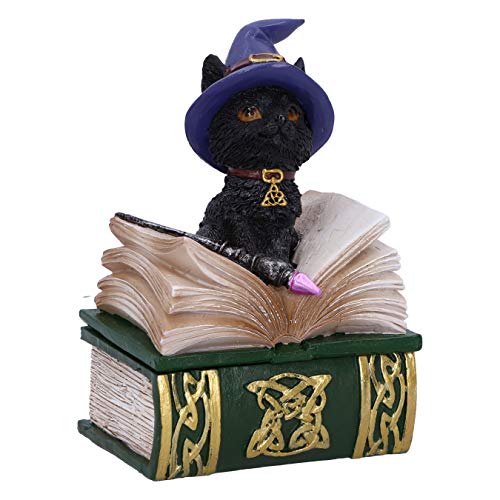 Nemesis Now Binx Kleine Hexen Vertraute Schwarze Katze und Zauberbuch Figur Box, grün, 11 cm von Nemesis Now