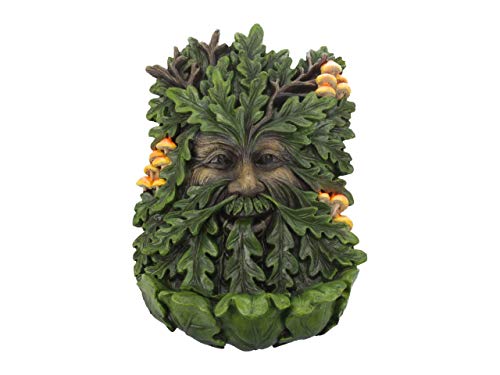 Nemesis Now D4267M8 Wandschild aus Holunderholz, 19 cm, grün, Polyresin, 23,8 cm Nemesis Now D4267M8 Wandschild aus Holunderholz, 19 cm, grün, Polyresin, 23,8 cm von Nemesis Now