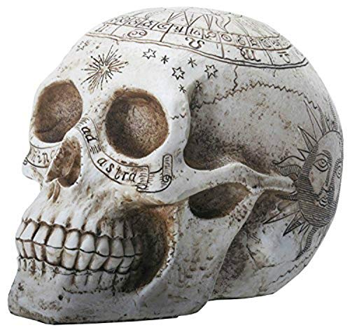 Nemesis Now Dekofigur Totenkopf Astrologisch 29 cm Elfenbein von Nemesis Now