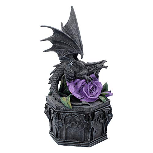 Nemesis Now Dragon Beauty Anne Stokes Box, 25 cm, Kunstharz, Schwarz von Nemesis Now