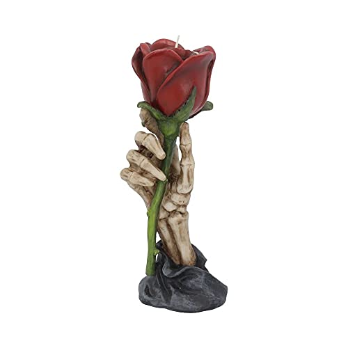 Nemesis Now Eternal Flame Unisex Teelichthalter multicolor Polyresin Gothic, Rockwear, Romantik Nemesis Now Eternal Flame Unisex Teelichthalter multicolor Polyresin Gothic, Rockwear, Romantik von Nemesis Now
