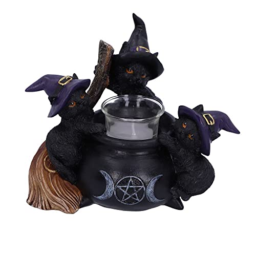 Nemesis Now Familiar Cauldron Teelichthalter, 12,5 cm, Kunstharz und Glas, Schwarz, U5952V2 von Nemesis Now