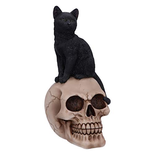 Nemesis Now Familiar Fate Dekofigur Hexen, Katze und Totenkopf, 24,3 cm von Nemesis Now