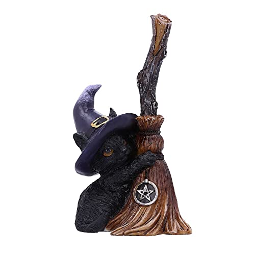 Nemesis Now Familiars Besen, 11,5 cm, Schwarz von Nemesis Now