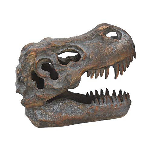 Nemesis Now Figur Tyrannosaurus Rex Totenkopf, freistehend, 18,5 cm, Grau von Nemesis Now
