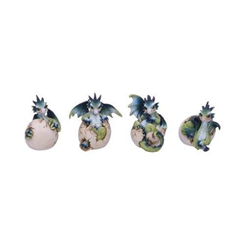 Nemesis Now Hatchlings Emergence (Set of 4) 8cm, Dragonling Hatching from Egg Figuren von Nemesis Now