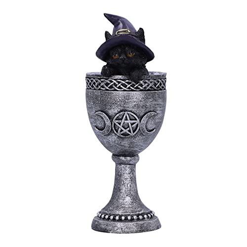 Nemesis Now Coven Tasse, Silber, 15,7 cm von Nemesis Now