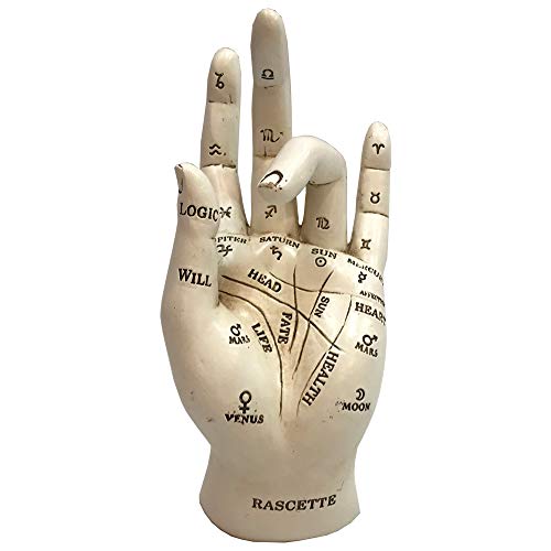 Nemesis Now Palmistry Chriomancy Wahrsagende Hand-Figur, Polyresin, weiß, 17,7 cm von Nemesis Now