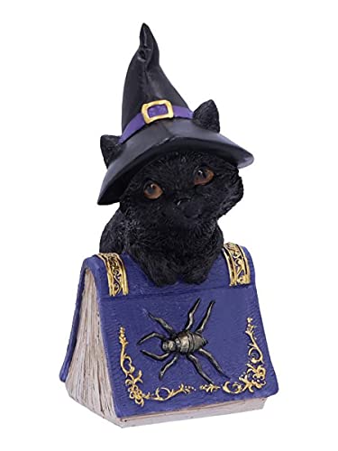 Nemesis Now Pocus Kleine Hexen Vertraute Schwarze Katze und Zauberbuch Figur, violett, 12,7 cm von Nemesis Now
