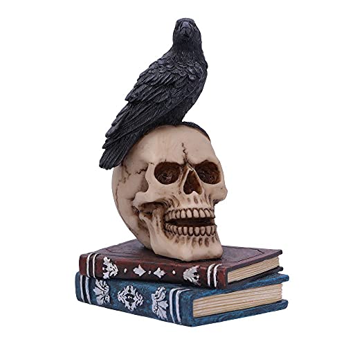 Nemesis Now Raven's Spell 10,3 cm, Schwarz von Nemesis Now