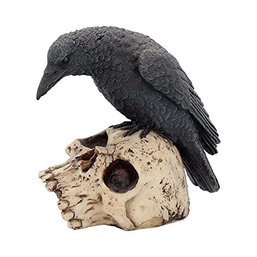 Nemesis Now Ravens Remains Dekofigur, 13 cm, Totenkopf, Gothic, Schwarz Nemesis Now Ravens Remains Dekofigur, 13 cm, Totenkopf, Gothic, Schwarz von Nemesis Now