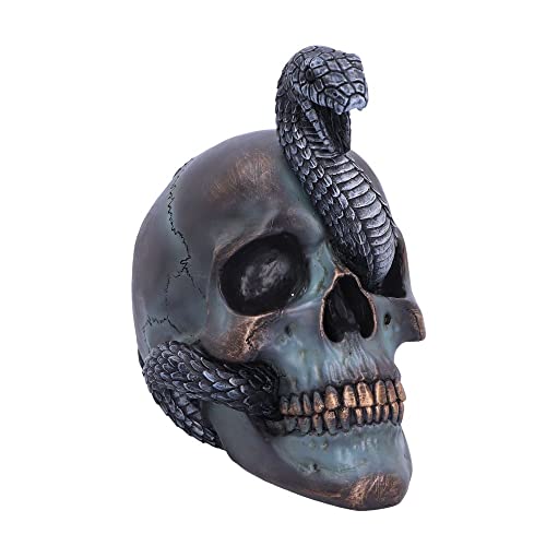 Nemesis Now Serpentine Schicksal Totenkopf, grau, 19 cm von Nemesis Now