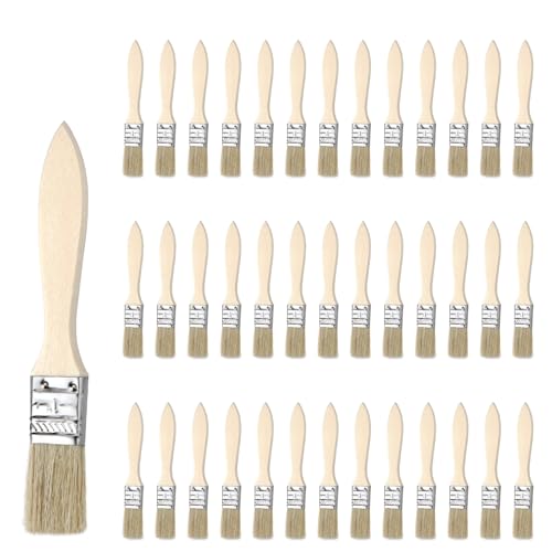 40 Stück Kleine Pinsel Borstenpinsel Set 17cm Flachpinsel Lackierpinsel Malerpinsel Pinsel Lack Fensterpinsel mit Holzgriff für Pinsel Farben Kunst Malerbedarf Lacke Malerei DIY Streichen von Wänden 40 Stück Kleine Pinsel Borstenpinsel Set 17cm Flachpinsel Lackierpinsel Malerpinsel Pinsel Lack Fensterpinsel mit Holzgriff für Pinsel Farben Kunst Malerbedarf Lacke Malerei DIY Streichen von Wänden von Nenull