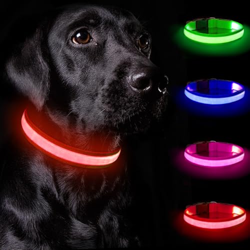 Nepfaivy Leuchthalsband Hund USB Aufladbar - Hundehalsband Leuchtend mit Verstellbarer Länge für Mittelgroße bis Große Hunde, LED Halsband Hund mit 3 Beleuchtungsmodi für Nacht Sicherheit, (Rot-L) von Nepfaivy