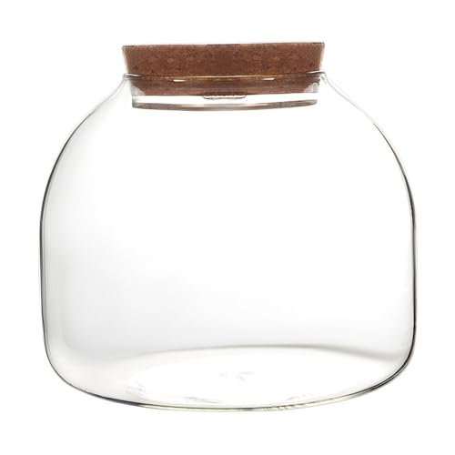 Neroyaner Glasterrarium für Pflanzen 1600 ml Pflanzenterrarium mit Korkdeckel Terrariumglas mit großer Öffnung für Mini-Sukkulenten Landschaftsbau Blumenarrangements Bastelsammlungen Neroyaner Glasterrarium für Pflanzen 1600 ml Pflanzenterrarium mit Korkdeckel Terrariumglas mit großer Öffnung für Mini-Sukkulenten Landschaftsbau Blumenarrangements Bastelsammlungen von Neroyaner
