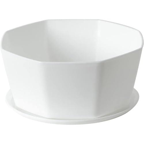 Neroyaner Flacher Pflanztopf 20,3 cm für Sukkulenten Pflanztöpfe aus Keramik für Sukkulenten mit Abflussloch Flacher Blumentopf Blumentopf für runden flachen Bonsai-Topf mit Bambustablett weiß von Neroyaner