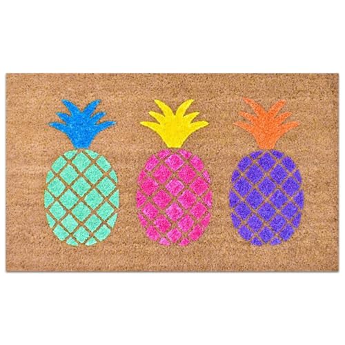 Neroyaner Kokos-Fußmatte 40, 6 x 61 cm weich wasserabsorbierend niedliche Fußmatte Ananas-Willkommensmatte rutschfeste süße Badematte für den Eingangsbereich der Haustür von Neroyaner