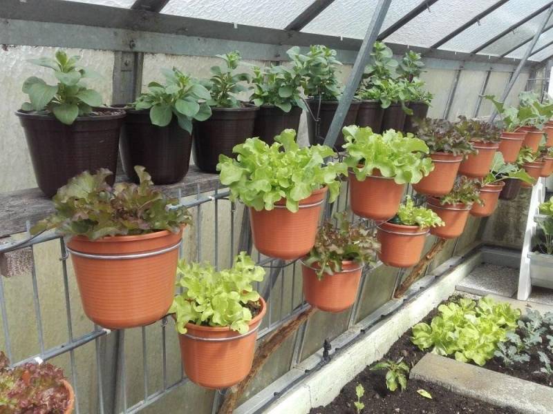 Nesbel - Spüren Sie die Reinheit? Blumenkastenhalter Blumentopfhalter, 4-St., verzinkter Stahldraht für Doppelstab Gitter Gabionen von Nesbel - Spüren Sie die Reinheit?