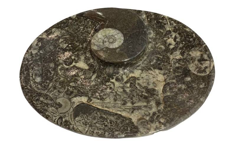 Nesbel - Spüren Sie die Reinheit? Dekoschale (1 St), Orthoceras Edelsteinschale versteinerte Tintenfischarme 15x11,5x2 cm von Nesbel - Spüren Sie die Reinheit?