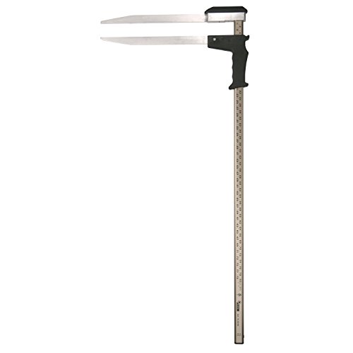 NESTLE Messkluppe Waldmeister geeicht Messbereich 60 cm, Gewicht 900 g, 1 Stück, 20002001 von NESTLE