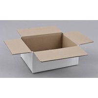 Nestler Wellpapp-Faltkartons 1-wellig weiß 21,5 x 15,0 x 8,5 cm von Nestler
