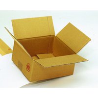 Nestler Wellpapp-Faltkartons 2-wellig braun 30,0 x 20,0 x 15,0 cm von Nestler