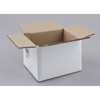 Nestler Wellpapp-Faltkartons 2-wellig weiß 21,0 x 15,0 x 13,0 cm von Nestler