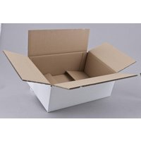 Nestler Wellpapp-Faltkartons 2-wellig weiß 35,0 x 25,0 x 12,0 cm von Nestler