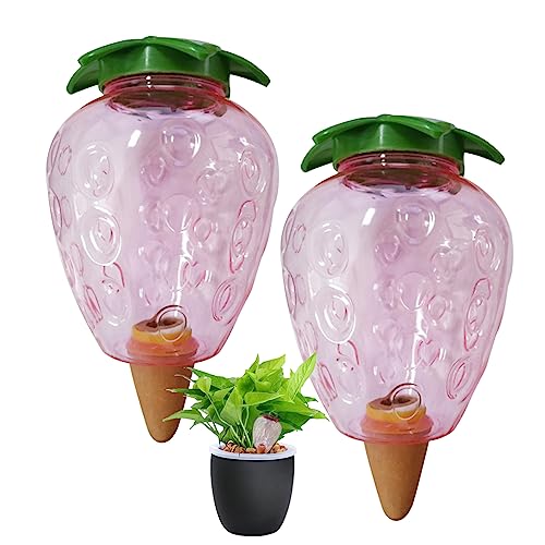 NethCasti 2pcs Anlagenwässrungsgeräte Automatische Wasserveranstaltung Haushalt Selbstanteile Reisegeschäft Seping Tropfgerät Tropf 500 ml Erdbeerwasserspender Anlage NethCasti 2pcs Anlagenwässrungsgeräte Automatische Wasserveranstaltung Haushalt Selbstanteile Reisegeschäft Seping Tropfgerät Tropf 500 ml Erdbeerwasserspender Anlage von NethCasti