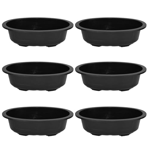 NethCasti 6 PCs Bonsai Trainingstöpfe 15x11x3.5 in Oval Gartenbonsai Pflanzer mit Entwässerungsloch PP Wiederverwendbare große Blumentöpfe für Garten, Hof, Balkon, Büro, Wohnzimmertraining von NethCasti