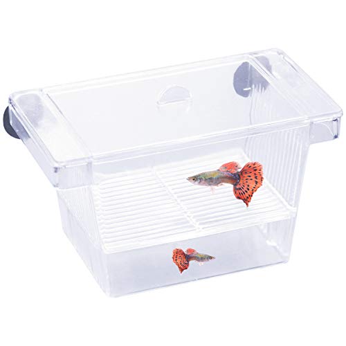 Netspower Aufzuchtbehälter Ablaichstation Breeding Box Ablaichkasten Zucht Isolation Box für Fische Garnelen mit 2 Saugnapf, Transparent Brutkasten Zuchttanks Kunststoff Fisch Züchter Box für Aquarium von Netspower