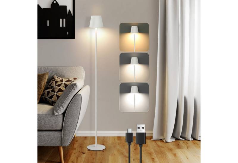 Nettlife LED Stehlampe Modern Dimmbar Schwarz 125cm 3 Farbtemperaturen USB Wohnzimmer, Dimmbar, LED fest integriert, Farbwechsler, Akku Standleuchte für Schlafzimmer Arbeitszimmer und Büro von Nettlife