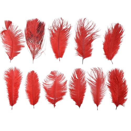 Nettoppo 10 Pc Natürliches Strauß-Federn-Hochzeitsfest-Dekorations-Rot 20-25Cm von Nettoppo